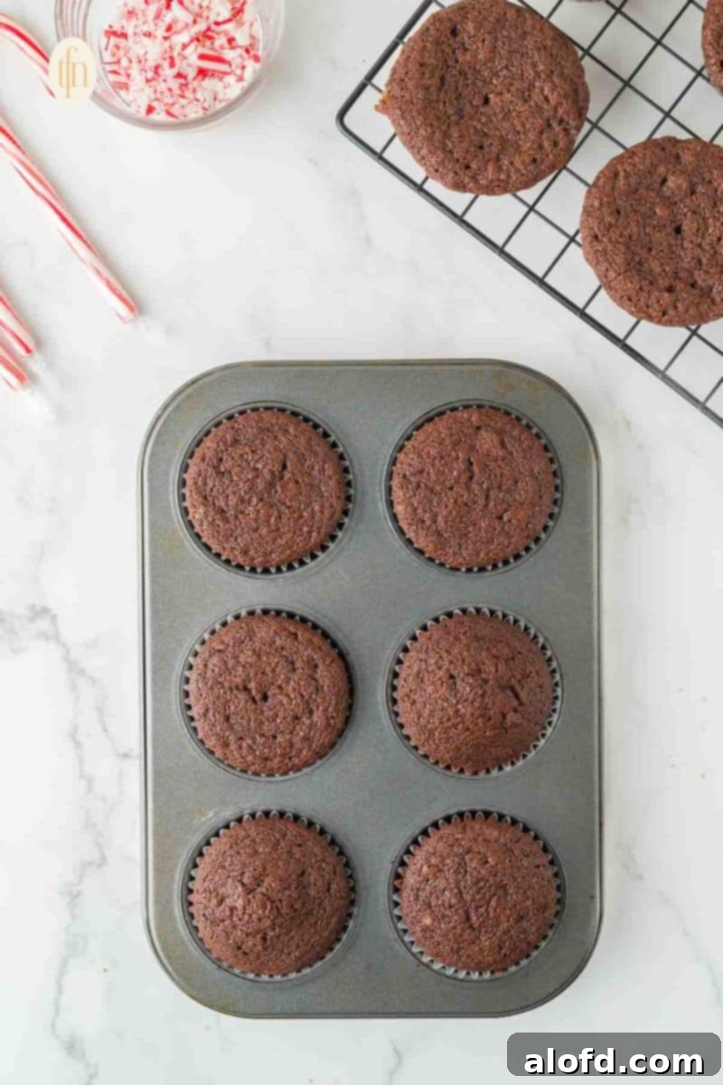 Decadent Peppermint Chocolate Cupcakes 10 Freshly baked cupcakes in a muffin pan, golden brown and risen.