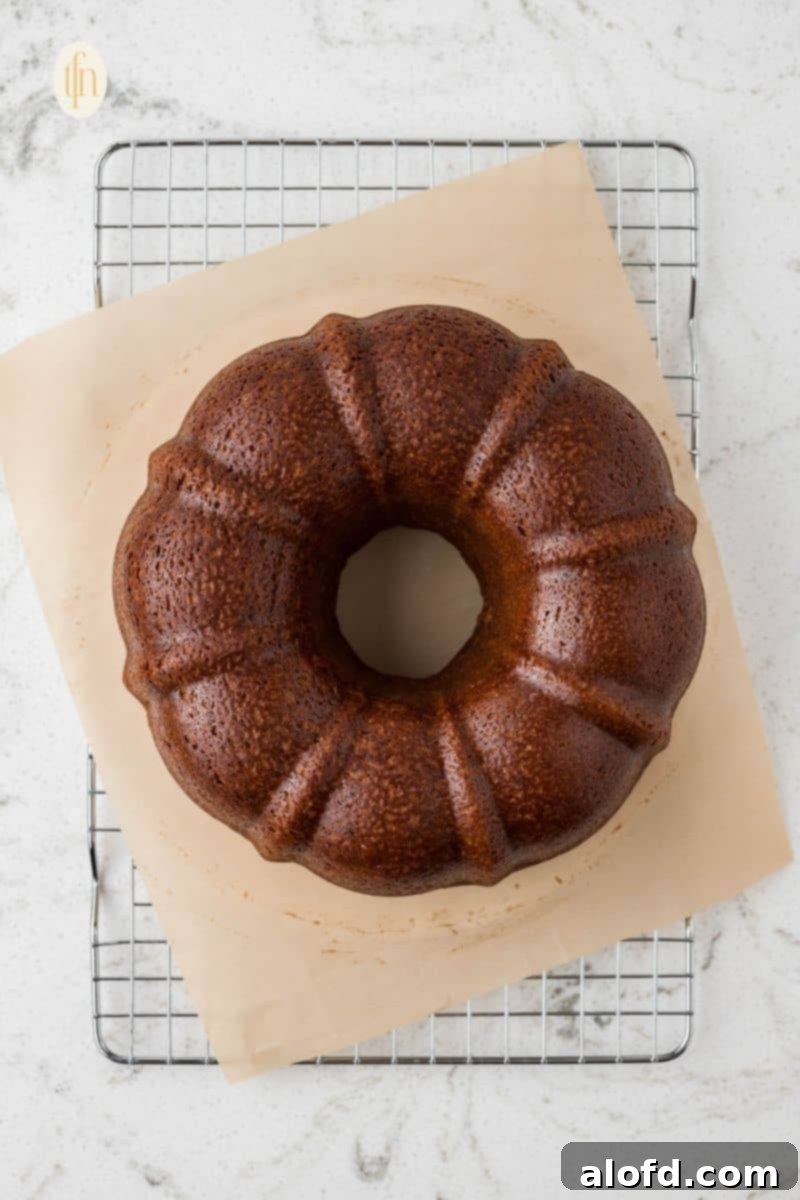 Spiced Molasses Bundt Cake 10 A freshly baked gingerbread bundt cake, golden brown and perfectly risen, cooling on a wire rack after being removed from the oven.