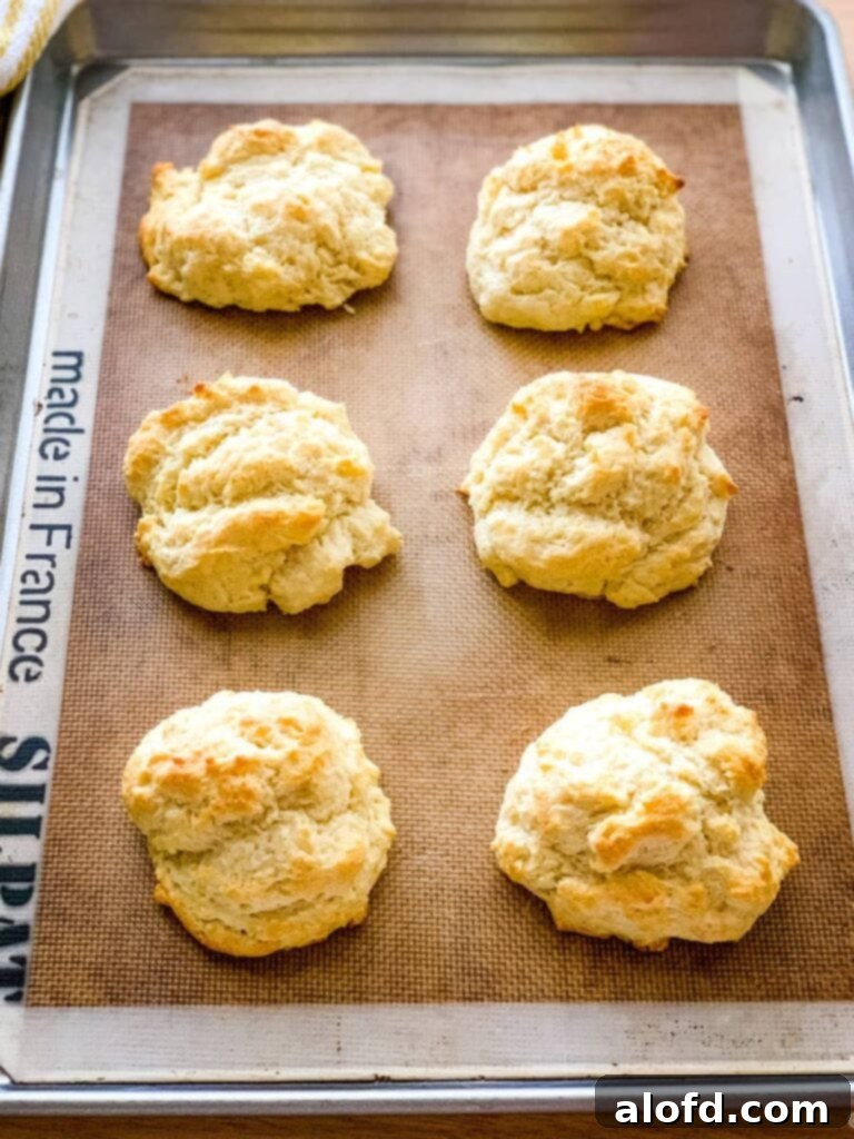 Baking sheet of golden brown drop biscuits made with self rising flour, fresh from the oven and ready to be served.