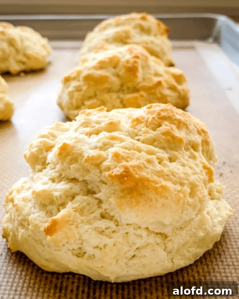 Close up of a freshly baked, golden brown drop biscuit on a baking pan, showing its flaky texture and warm appeal.