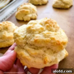 close up of easy drop biscuit.