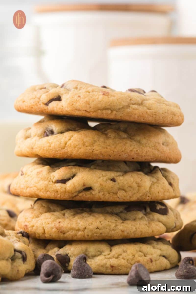 Artisan Sourdough Chocolate Chip Cookies 2 Stacked chewy sourdough chocolate chip cookies with a gooey center.