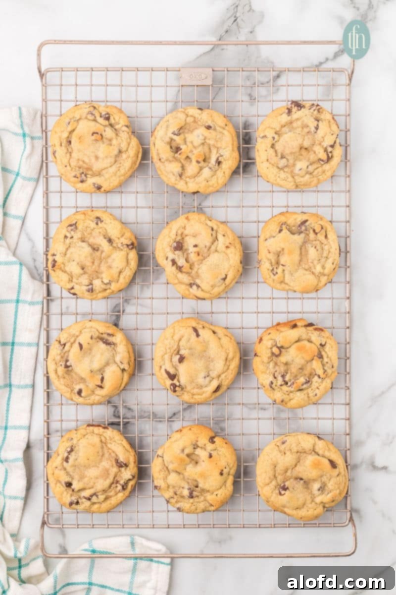 Artisan Sourdough Chocolate Chip Cookies 19 Baked cookies on a cooling rack.