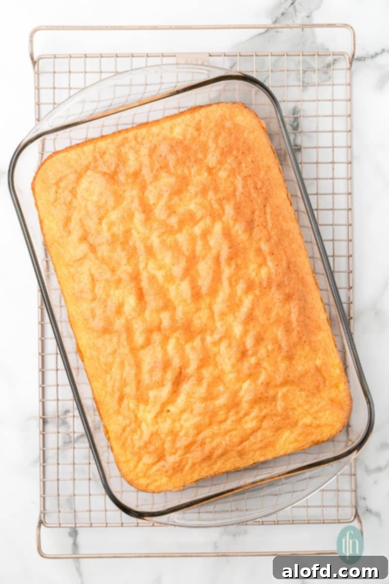 A pan of cake on top of a cooling rack.