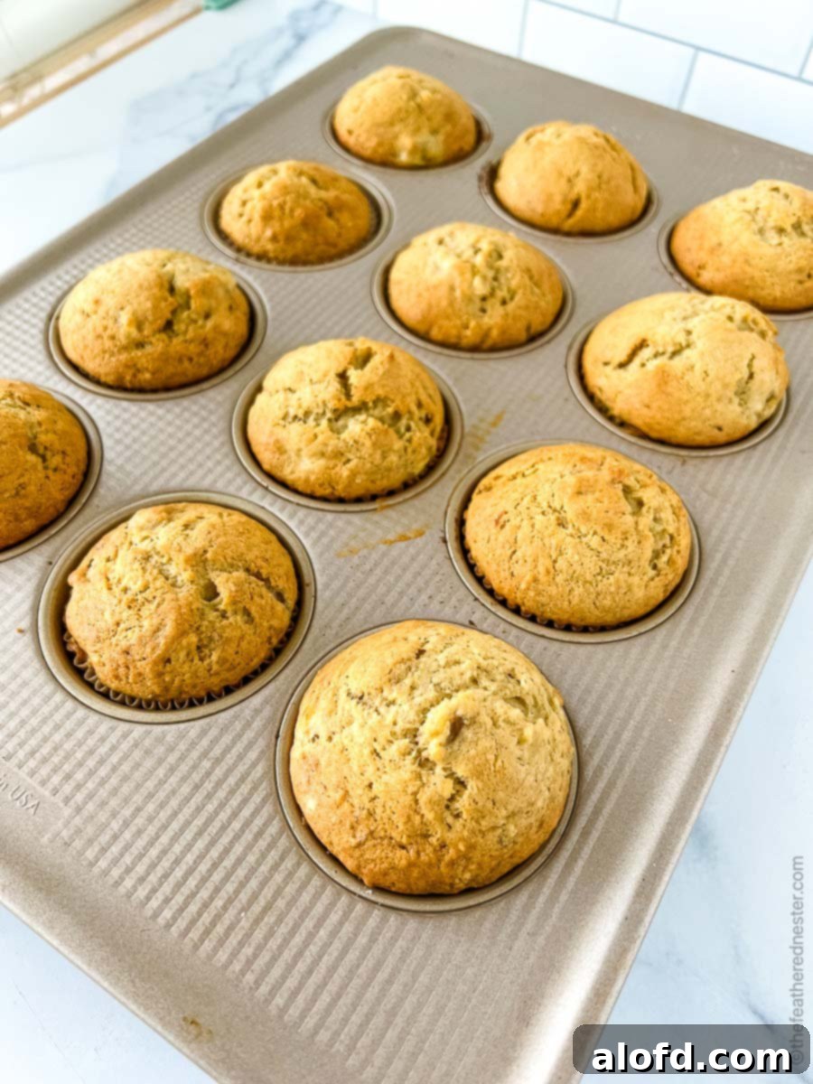 March Flavor Feast: Irresistible Dinner Ideas 5 A dozen freshly baked Bisquick banana muffins, golden brown and ready to be served.