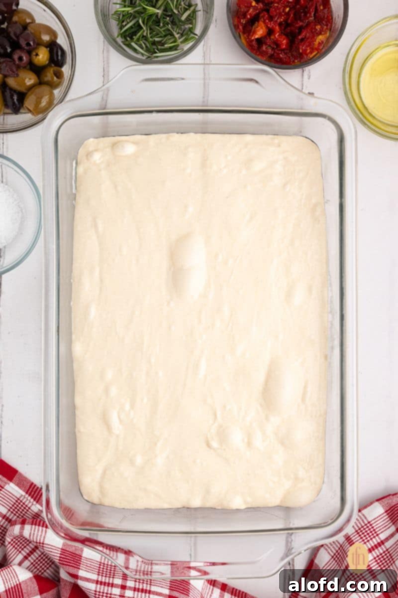 Sourdough focaccia dough gently pressed into a glass baking pan, ready for bulk fermentation.