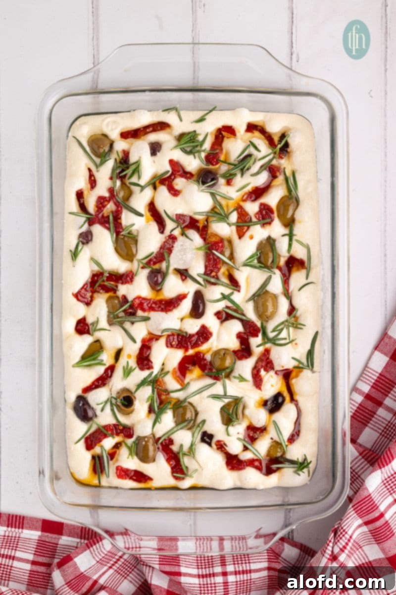 Proofed sourdough focaccia dough topped with raw ingredients like sun-dried tomatoes, olives, and rosemary, ready for baking.