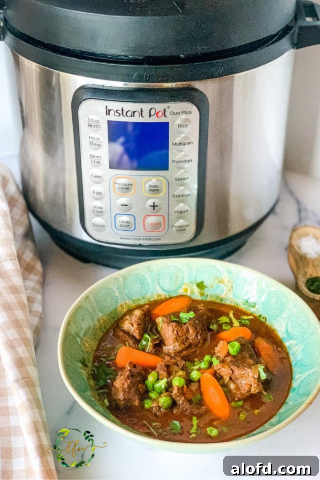 St Patricks Day Feast Ideas 3 A bowl of rich, hearty Instant Pot Beef Stew, perfect for a cold day.