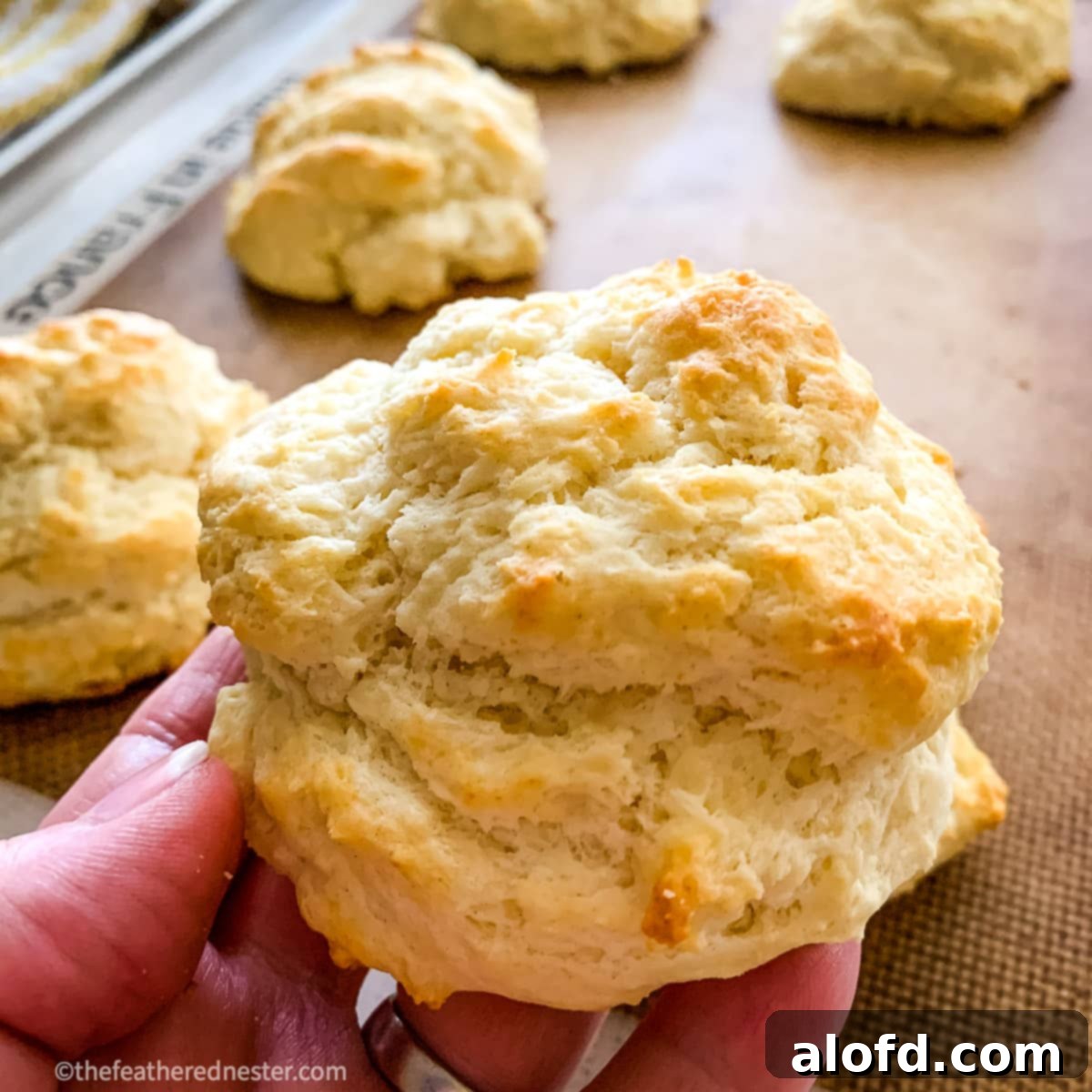 close up of easy drop biscuit,a perfect side for sheet pan chicken drumsticks