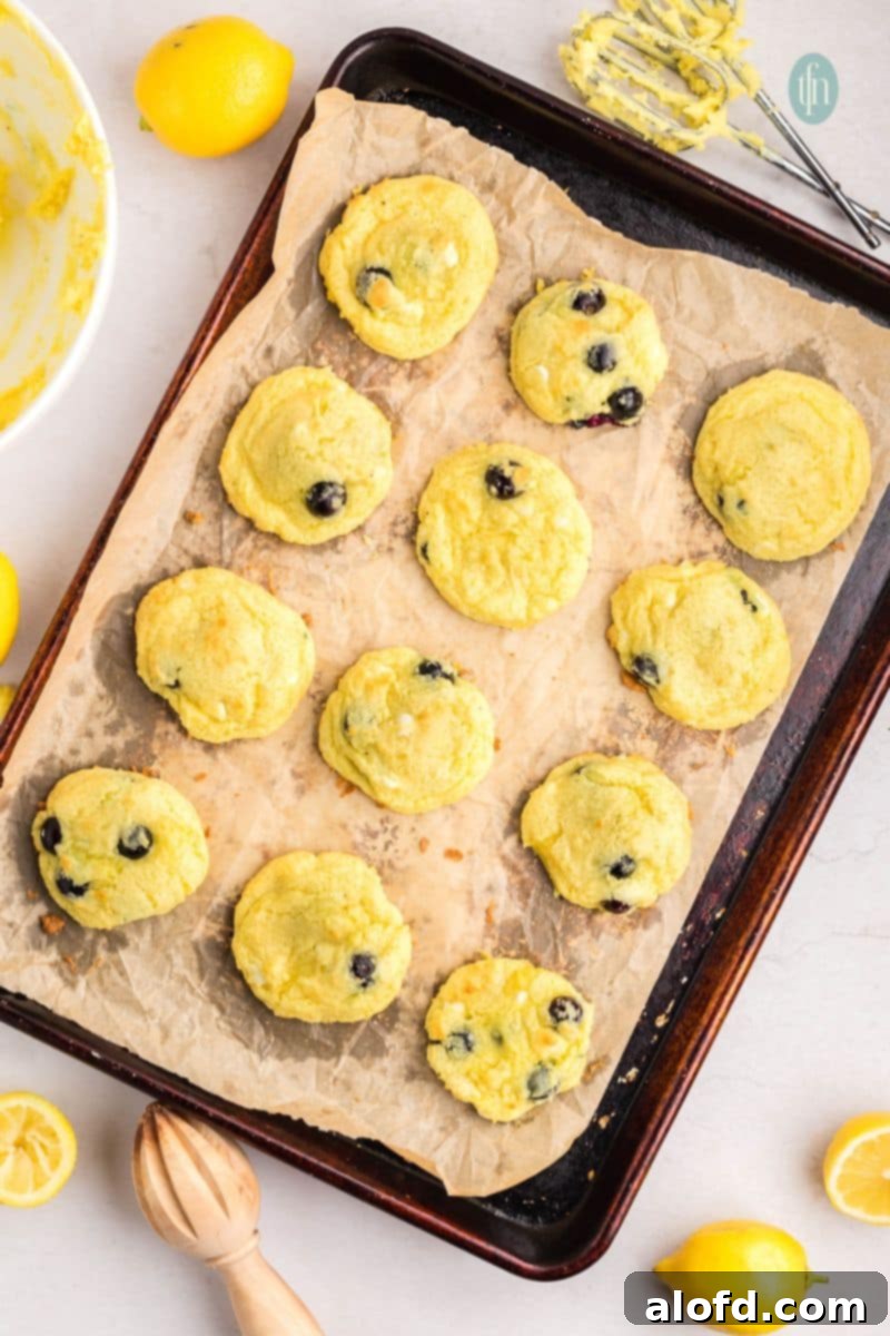 Lemon Blueberry Bliss Bites 15 Baked cookies on a baking sheet, still warm and golden.