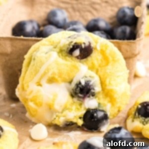 Lemon Blueberry Bliss Bites 23 A cookie with blueberries and glaze.