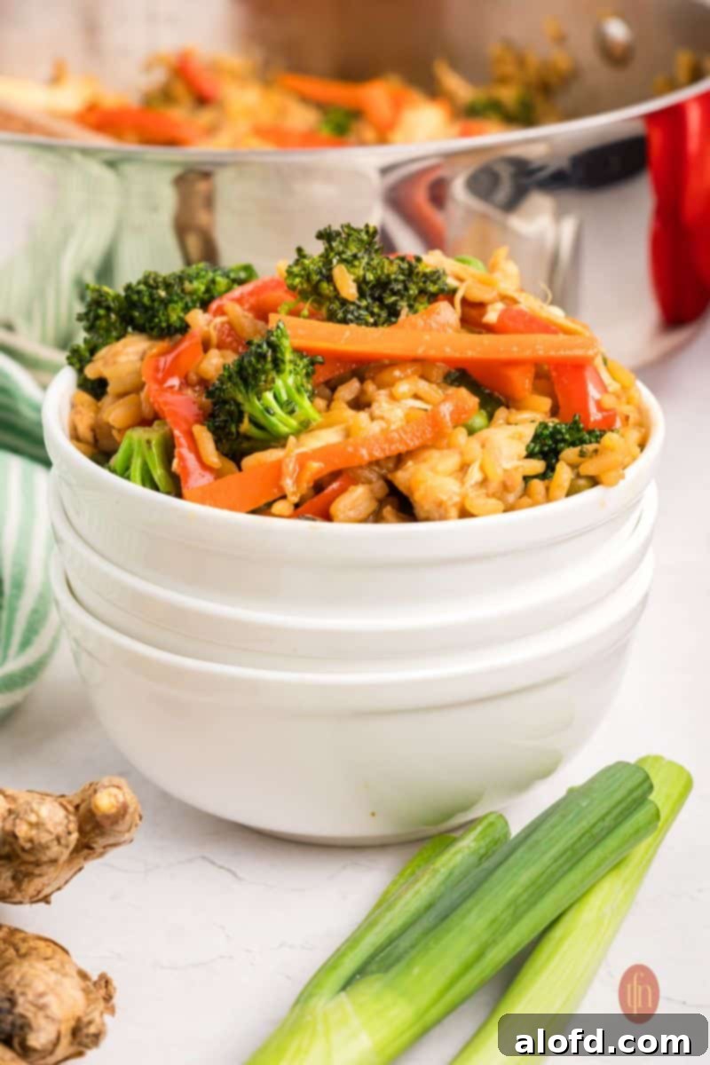 A perfectly portioned bowl of chicken and rice, ready to be enjoyed.