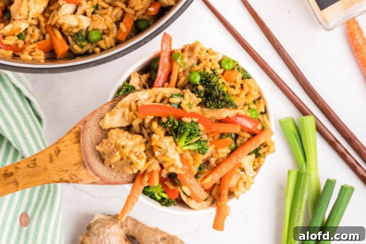 A close-up of a serving of chicken and rice bowl on a spoon, highlighting the texture and ingredients.