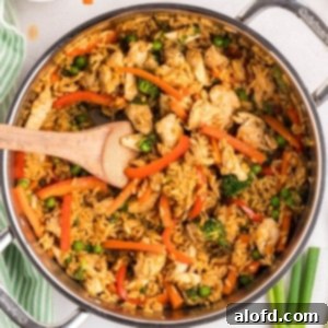 A pan of fried rice with veggies and chicken, beautifully presented.