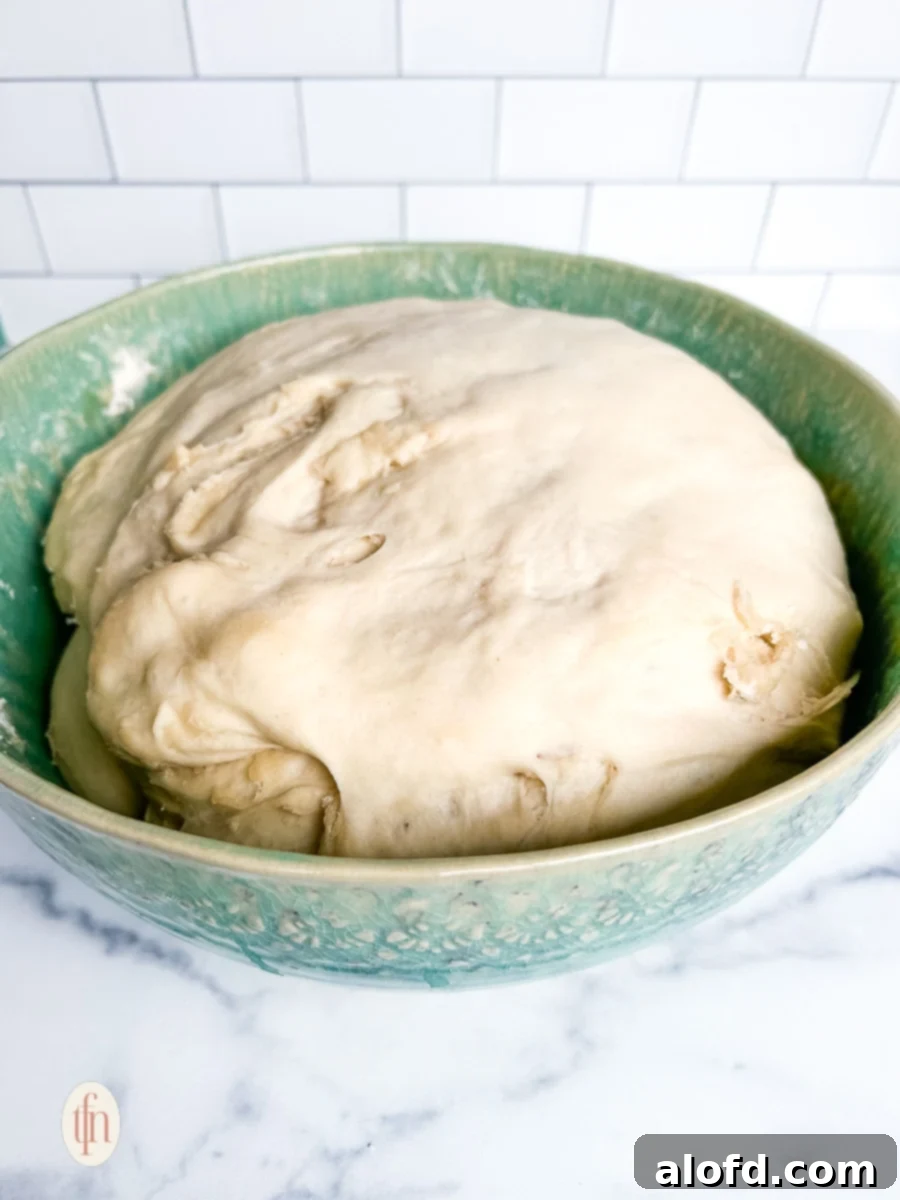 Puffed up bread dough after rising.