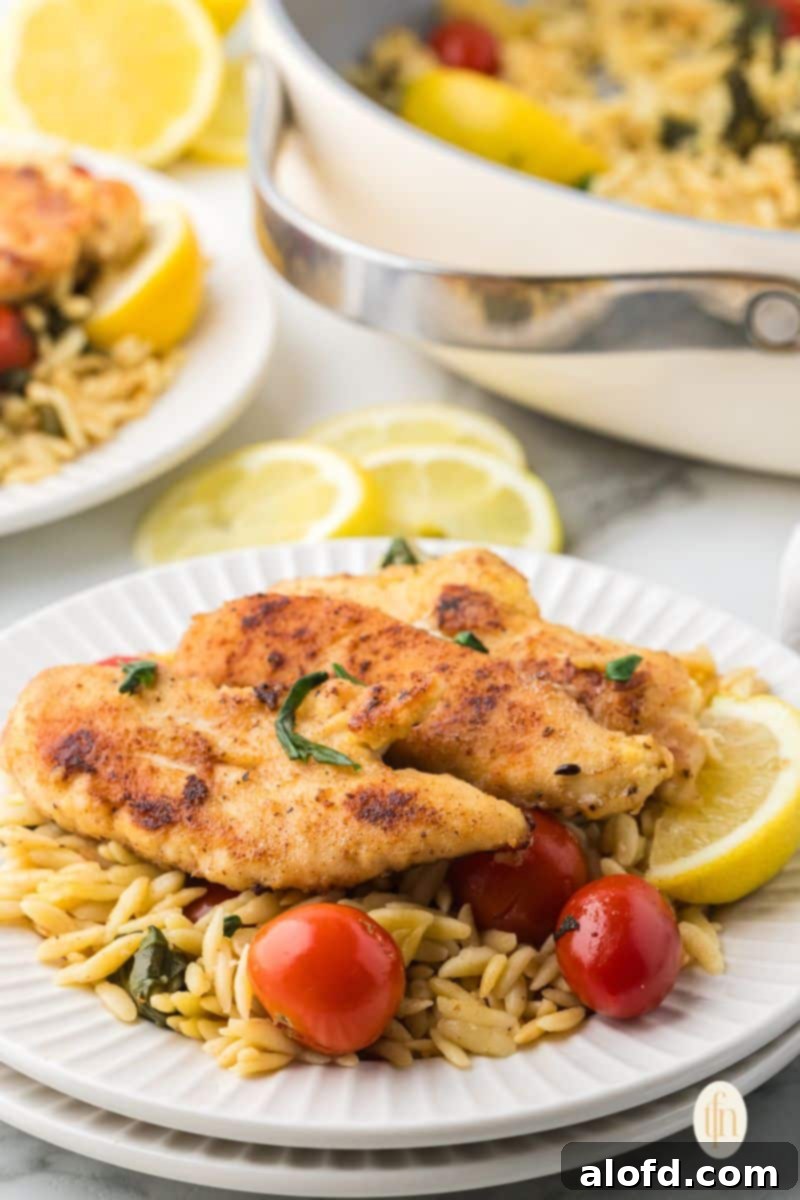 Zesty Lemon Chicken Orzo Pasta 2 A beautifully plated dish of lemon chicken orzo pasta, showcasing tender chicken pieces, small orzo pasta, and fresh greens, garnished with lemon wedges, ready to be enjoyed.