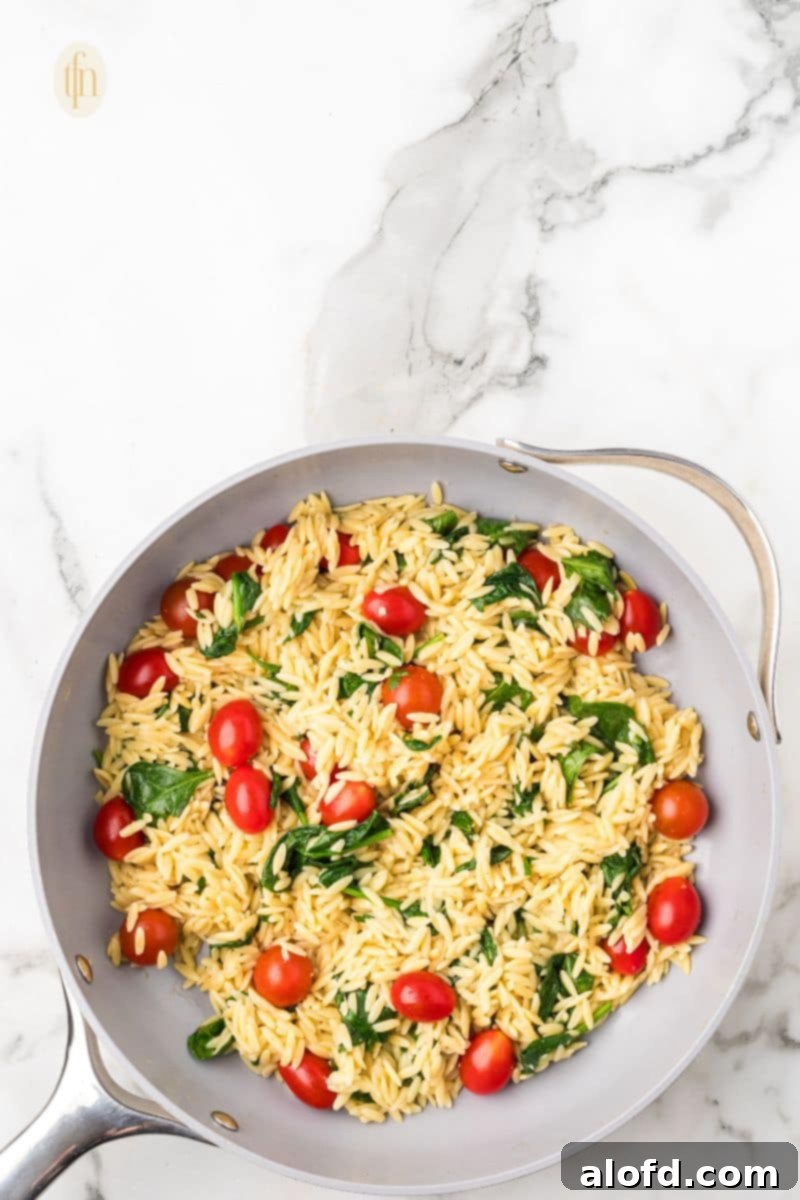 Zesty Lemon Chicken Orzo Pasta 19 A finished pan of savory orzo pasta with tomatoes, beautifully combined and ready for the re-introduction of the cooked chicken.