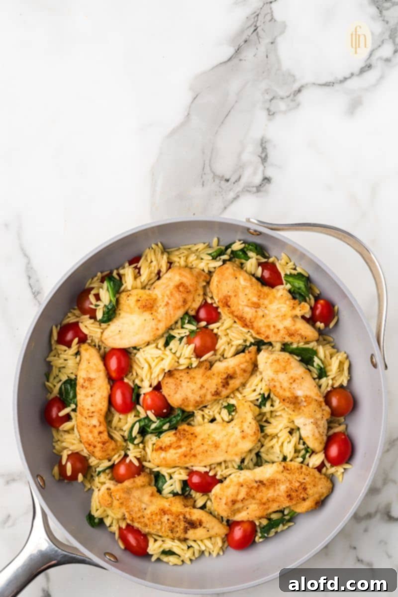 Zesty Lemon Chicken Orzo Pasta 20 The one-pan lemon chicken orzo pasta, with the perfectly seared chicken nestled back into the creamy orzo and fresh vegetables, ready for final garnishing.