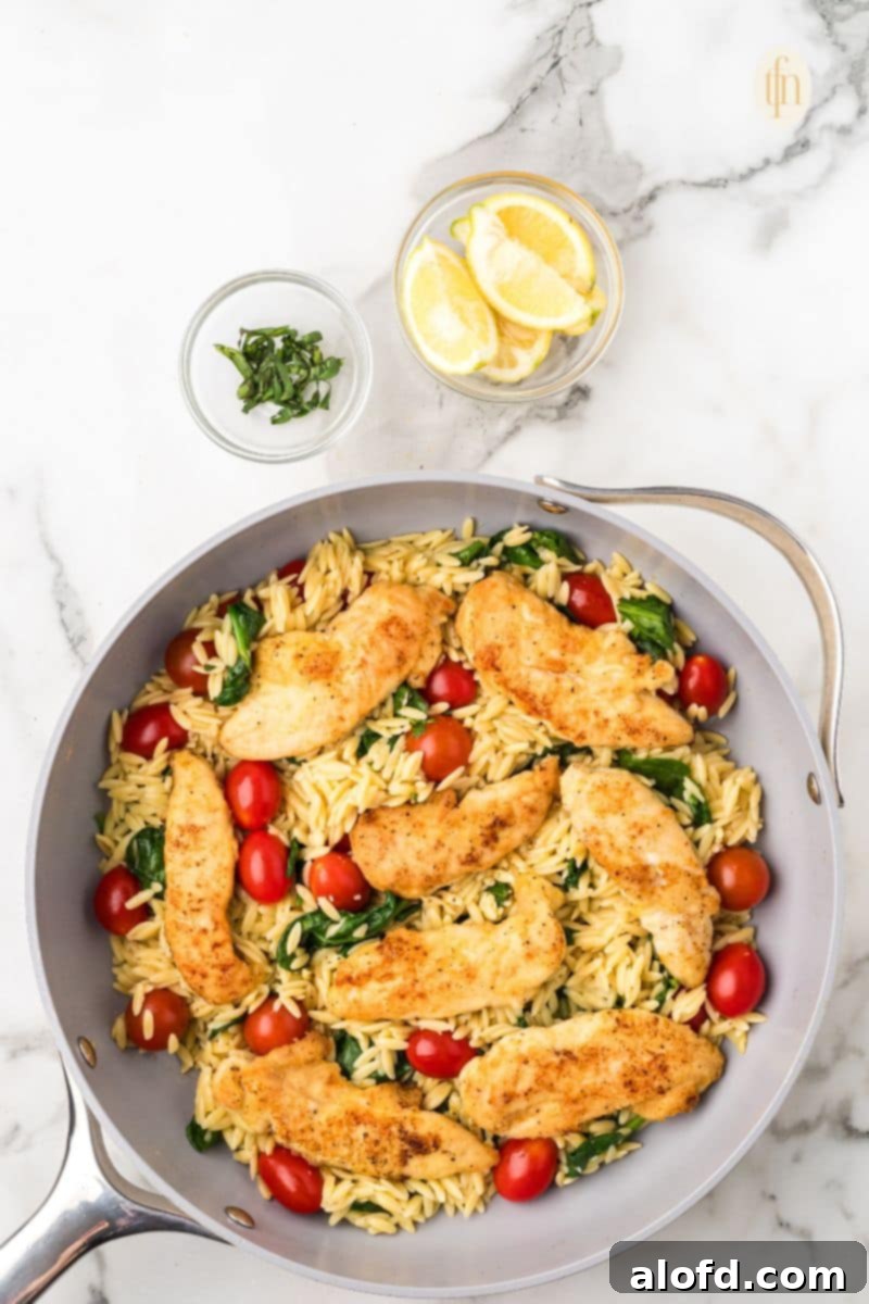 Zesty Lemon Chicken Orzo Pasta 21 The finished pan of lemon chicken orzo, beautifully presented and ready for garnish, with a small bowl of fresh herbs and a lemon beside it.
