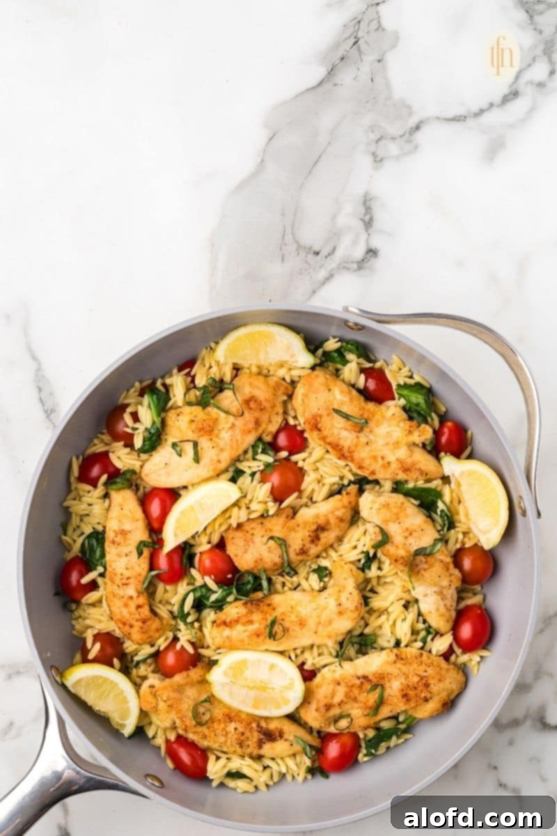 Zesty Lemon Chicken Orzo Pasta 22 A final close-up of the garnished lemon chicken orzo pasta in the pan, highlighting its freshness, vibrant colors, and inviting texture.