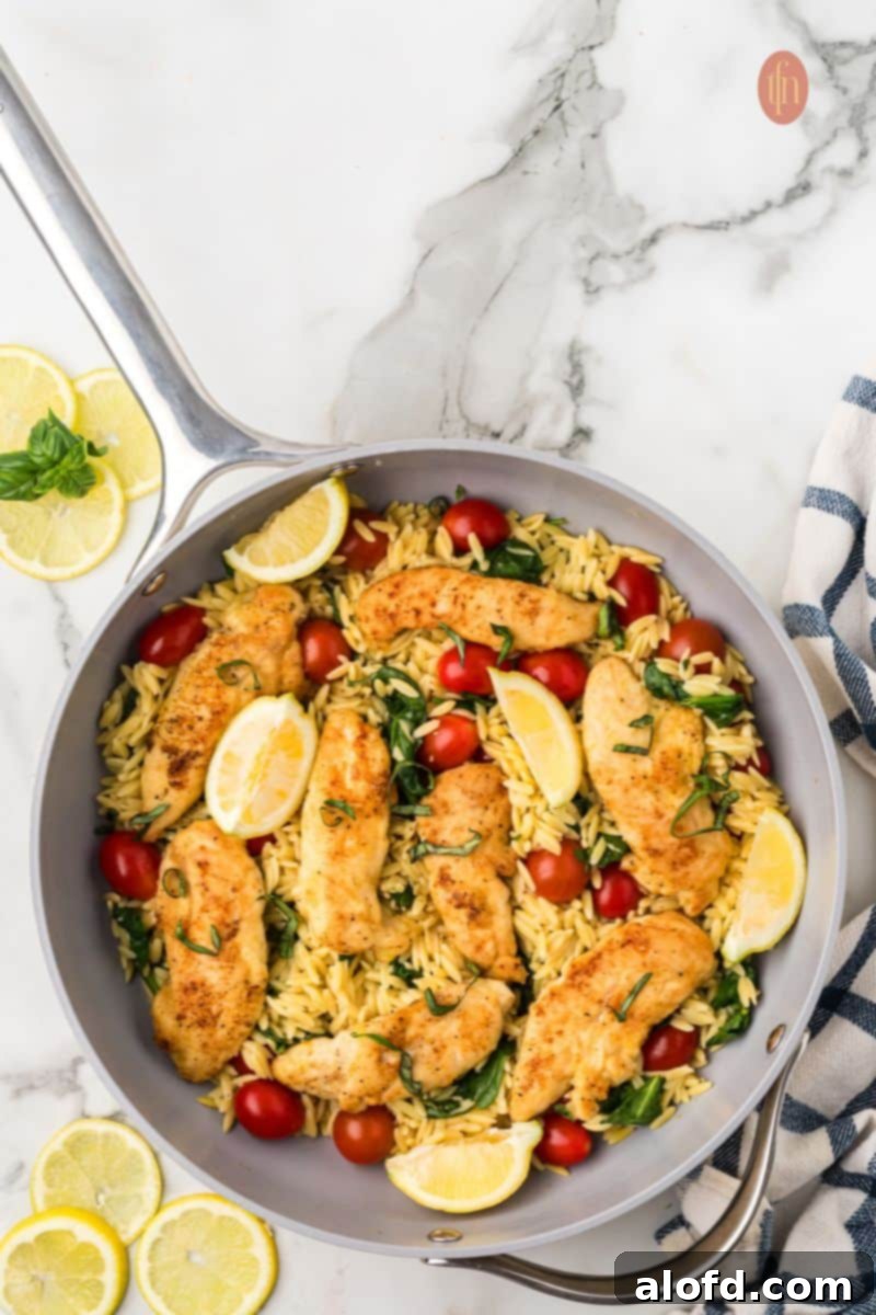 Zesty Lemon Chicken Orzo Pasta 23 A vibrant pan of lemon chicken orzo pasta, freshly prepared and garnished with herbs, ready for a large family meal.