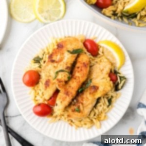 Zesty Lemon Chicken Orzo Pasta 26 A perfectly portioned plate of lemon chicken orzo pasta, emphasizing the tender chicken and creamy orzo, garnished with fresh herbs and a lemon wedge.
