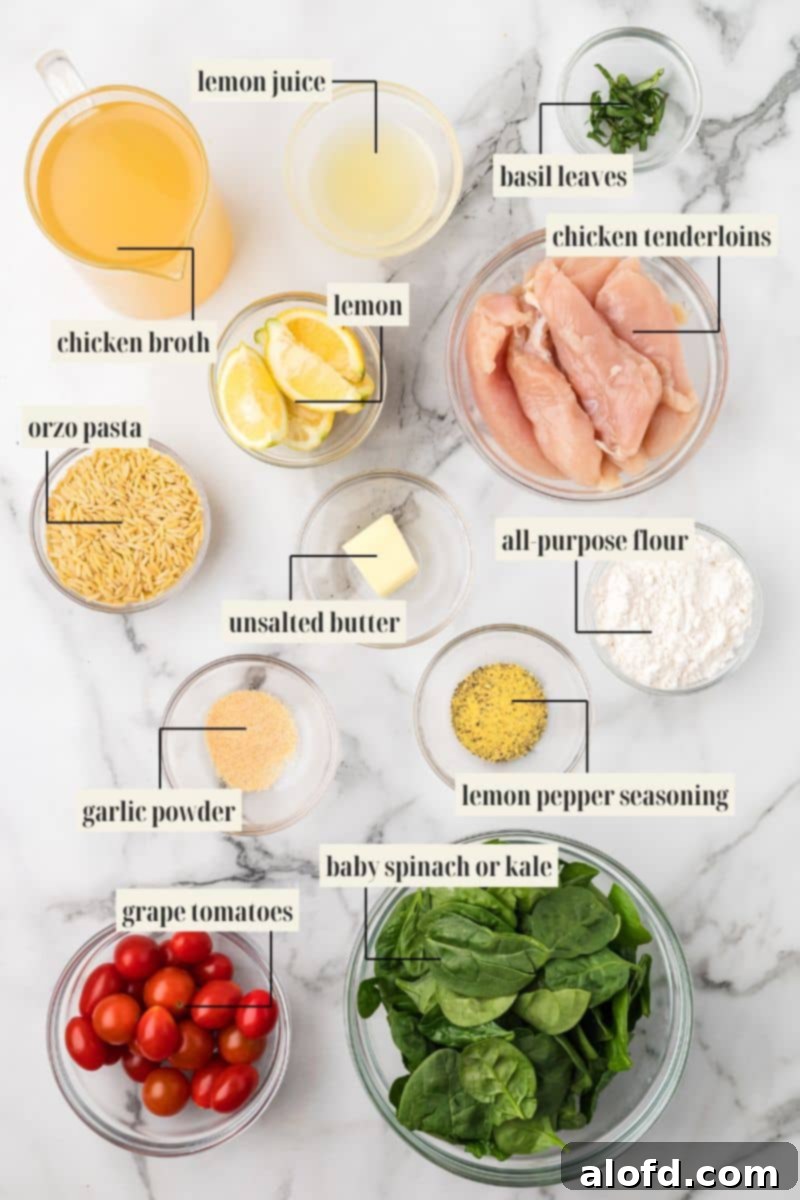 Zesty Lemon Chicken Orzo Pasta 4 A neatly arranged flat lay of all the fresh ingredients needed for lemon chicken orzo pasta, including raw chicken, dry orzo, whole lemons, fresh spinach, ripe grape tomatoes, and various seasonings in bowls.