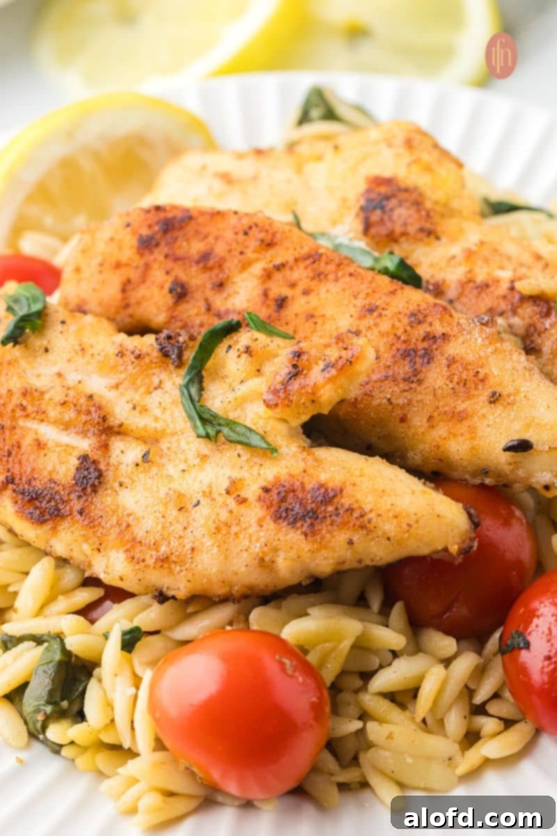 Zesty Lemon Chicken Orzo Pasta 5 A close-up of a plate of lemon chicken orzo pasta, perfectly garnished with fresh basil leaves and a lemon wedge, showcasing its vibrant flavors and inviting texture, ready to be served.