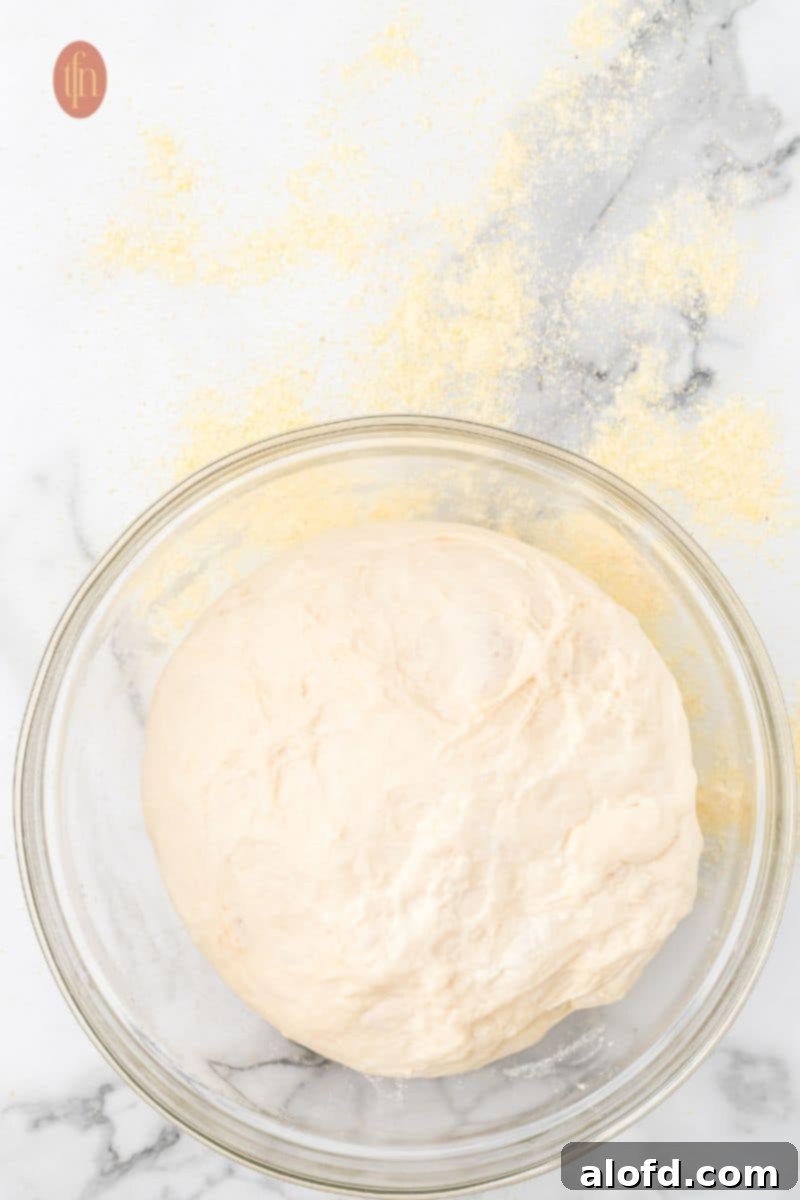 Artisan Sourdough English Muffin Bread 13 A bowl of dough, visibly risen and bubbly after an overnight fermentation.