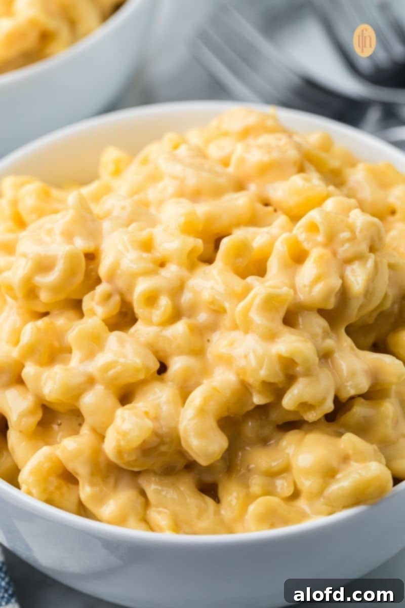 A bowl of mac and cheese, showcasing its creamy texture.