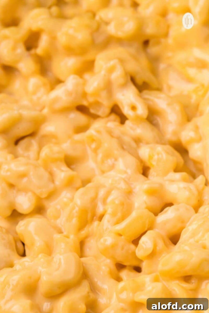 Close-up of creamy mac and cheese, showcasing the melted Velveeta.