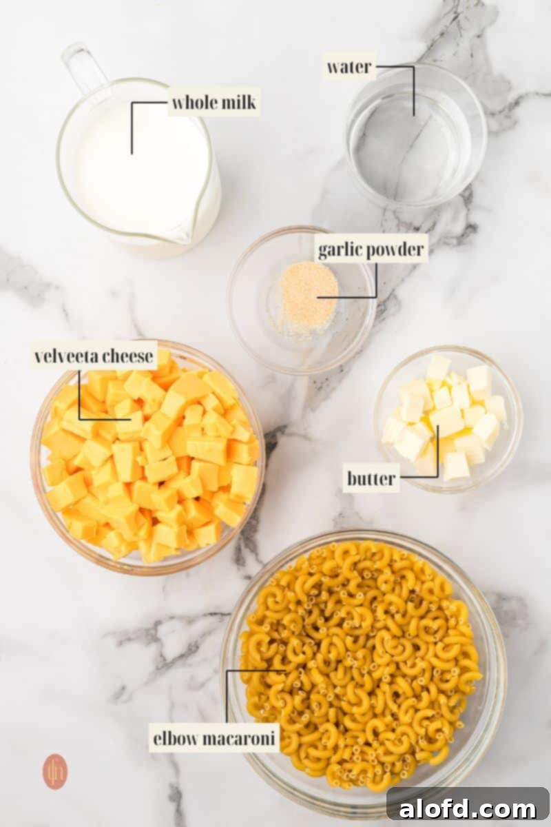Labeled ingredient image for Velveeta mac and cheese recipe, showing milk, macaroni, Velveeta, water, butter, and garlic powder.