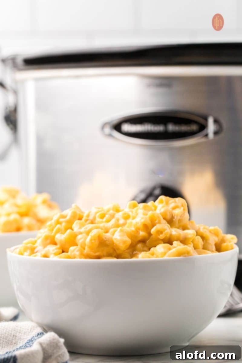 A serving of mac and cheese in a bowl, showing its rich, golden color.