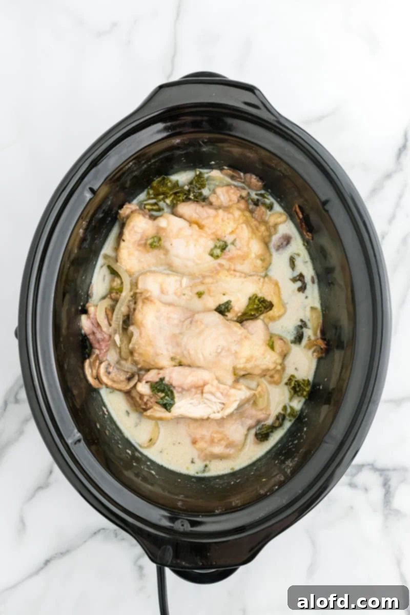 Comforting Crockpot Smothered Chicken 8 Cooked smothered chicken in a crockpot, fork-tender and ready for the gravy.