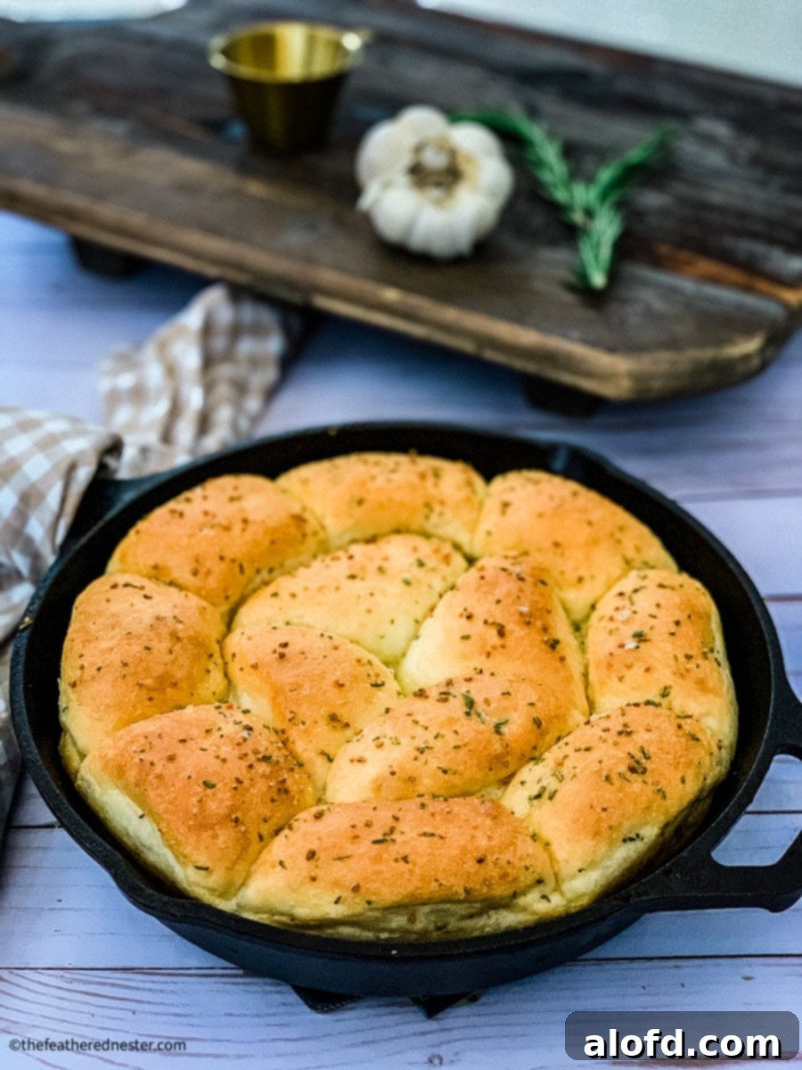 Cast iron skillet with freshly baked rosemary garlic dinner rolls, alongside a head of garlic and fresh rosemary sprigs in the background, exuding a comforting, homemade feel.