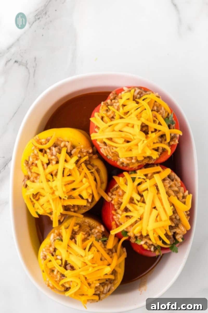 Loaded Taco Peppers 13 Four stuffed bell pepper halves are arranged in a white oval baking dish, generously covered with shredded cheddar cheese, and feature a layer of rich, dark sauce poured into the dish's base.