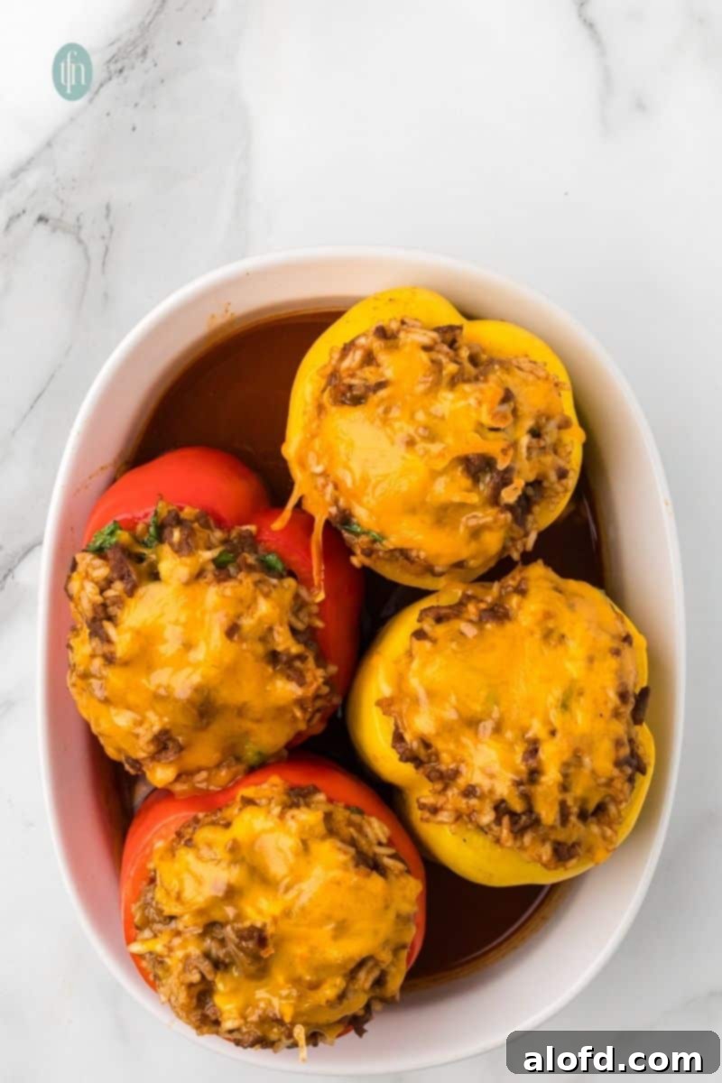 Loaded Taco Peppers 14 A top-down view of four baked stuffed bell peppers (two red, two yellow) in a white oval baking dish. Each pepper is filled with a ground beef and rice mixture and topped with melted cheddar cheese. Sauce surrounds the base of the peppers, creating a rich and inviting aroma.