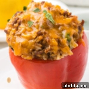 Loaded Taco Peppers 18 A close-up, square-cropped shot of a single, baked red taco stuffed bell pepper on a white plate, topped with melted cheddar cheese and cilantro. It's a vibrant and inviting image.