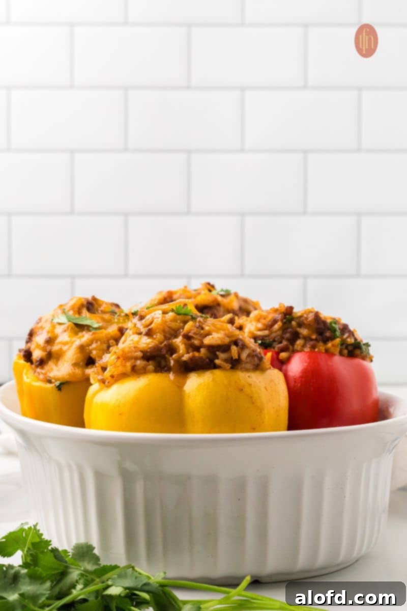 Loaded Taco Peppers 3 A close-up, low-angle shot of four baked taco stuffed peppers (two red, two yellow) sitting upright in a white baking dish, garnished with fresh cilantro. The melted cheese and rich filling are clearly visible, inviting diners to indulge.