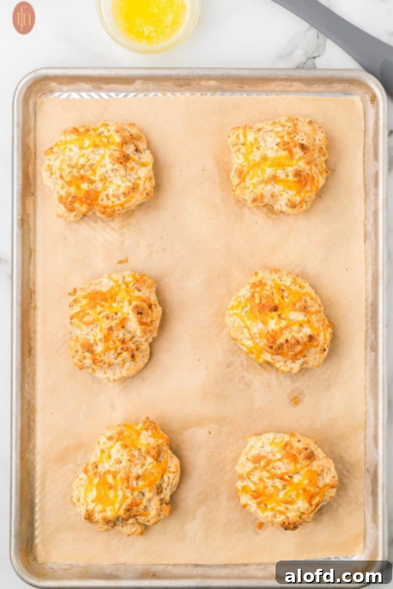 Cheddar Bliss Bites 10 Biscuits before baking