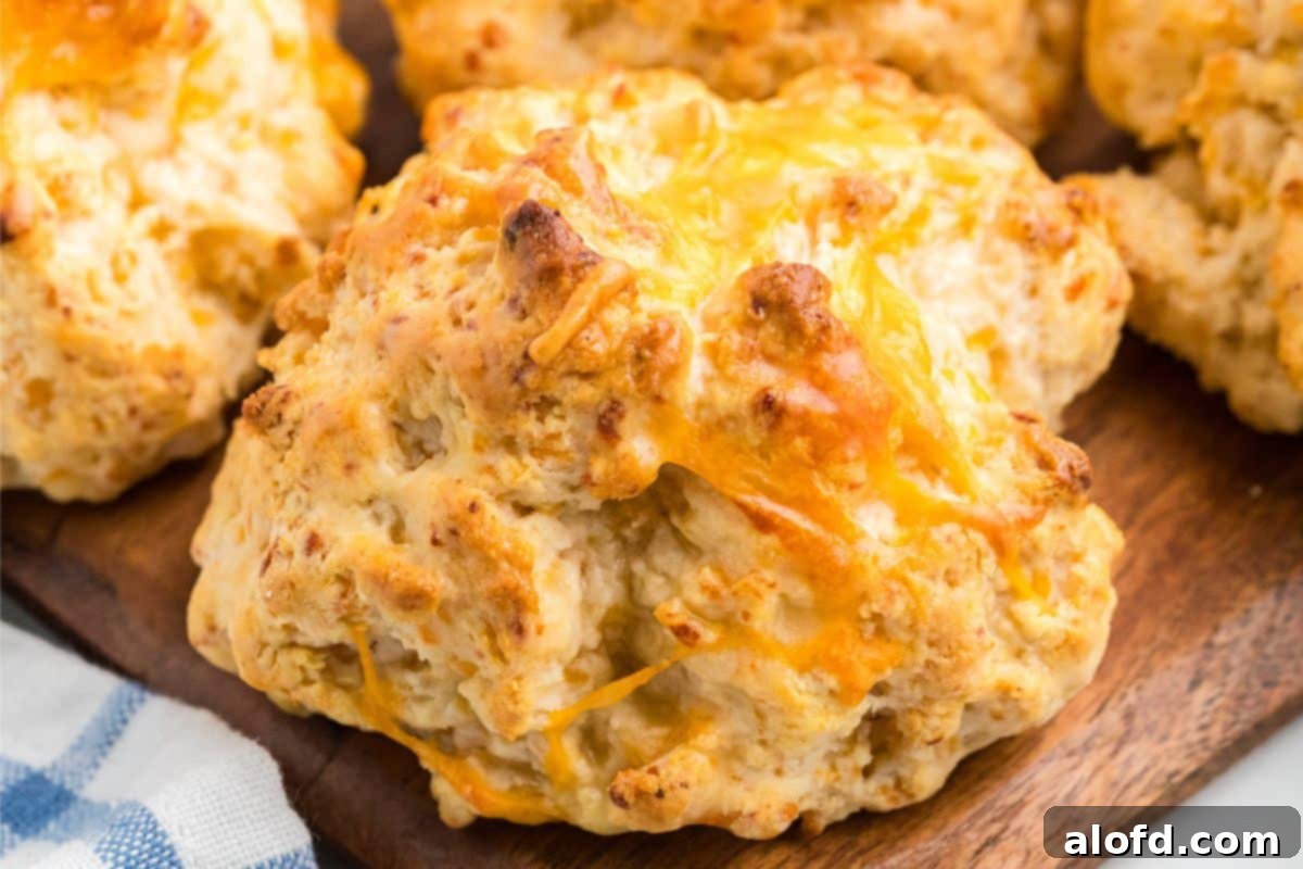 Cheddar Bliss Bites 13 Red Lobster Cheddar Bay Biscuits Recipe Graphic