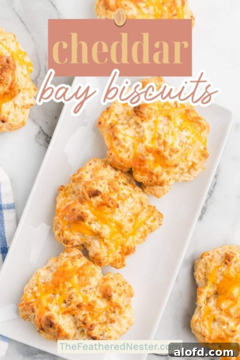 Cheddar Bliss Bites 15 Cheddar Bay Biscuits Pin Graphic