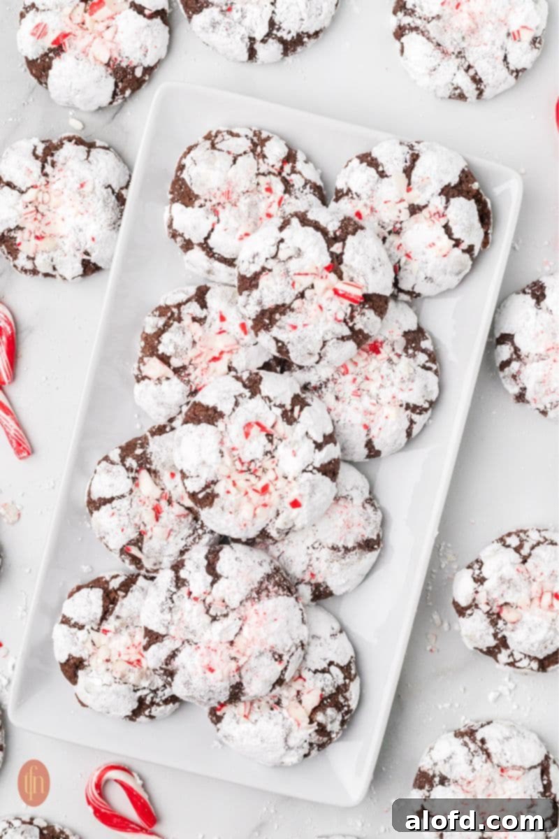 A beautifully arranged plate of chocolate crinkle cookies, surrounded by more cookies and festive candy cane decorations, creating a warm and inviting holiday scene.