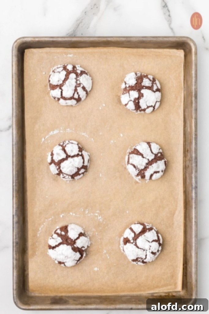 Chocolate Crinkle Cookies cooling on a baking sheet.