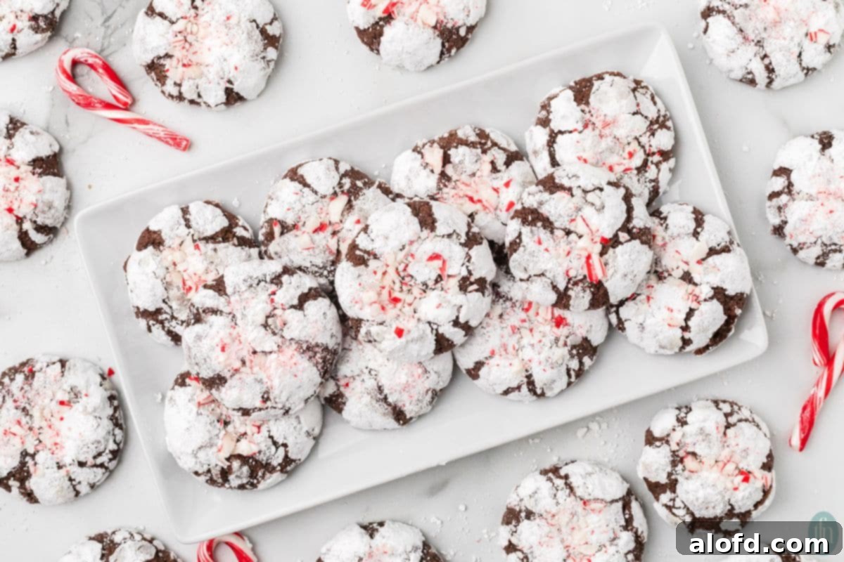 A visually appealing plate of Christmas crinkle cookies, surrounded by more cookies and festive candy cane decorations, perfect for sharing and enjoying during the holiday season.