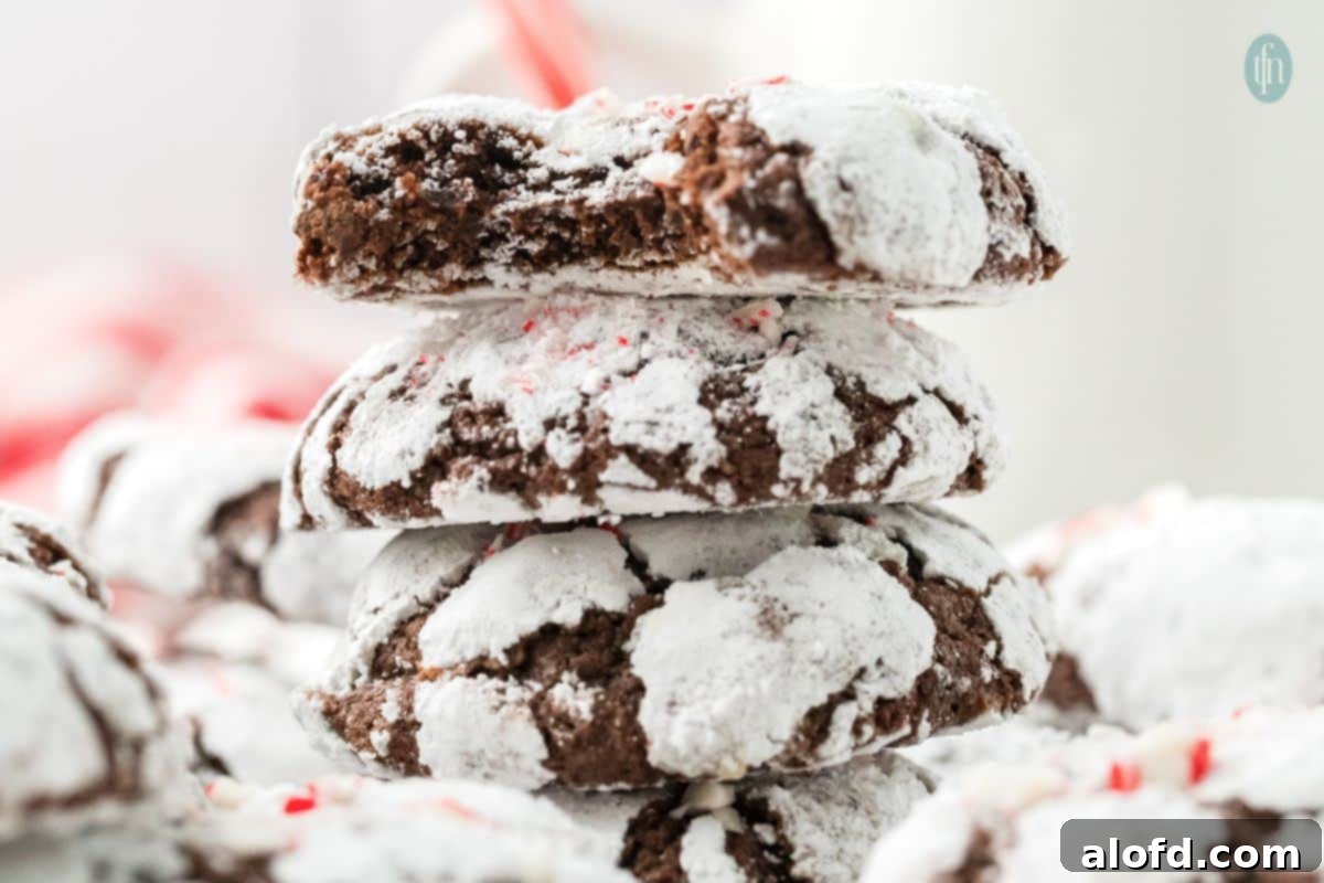 A close-up image showcasing the irresistible texture and crinkled surface of chocolate crinkle cookies, highlighting their delectable appearance.