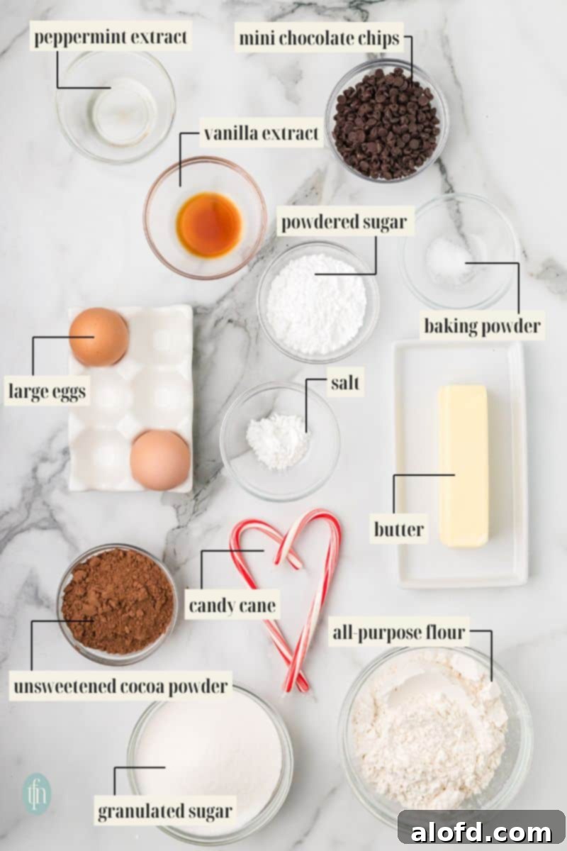 An inviting image showcasing the ingredients for the Peppermint Chocolate Crinkle Cookies recipe, including all-purpose flour, unsweetened cocoa powder, baking powder, salt, unsalted butter, granulated sugar, eggs, vanilla extract, peppermint extract, mini chocolate chips, powdered sugar, and candy cane.
