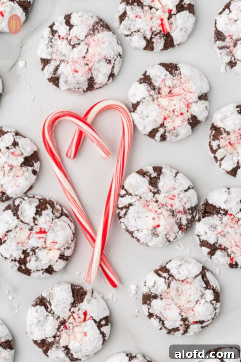 A festive graphic image of chocolate crinkle cookies, adorned with a heart-shaped candy cane, evoking a sense of warmth and holiday cheer.