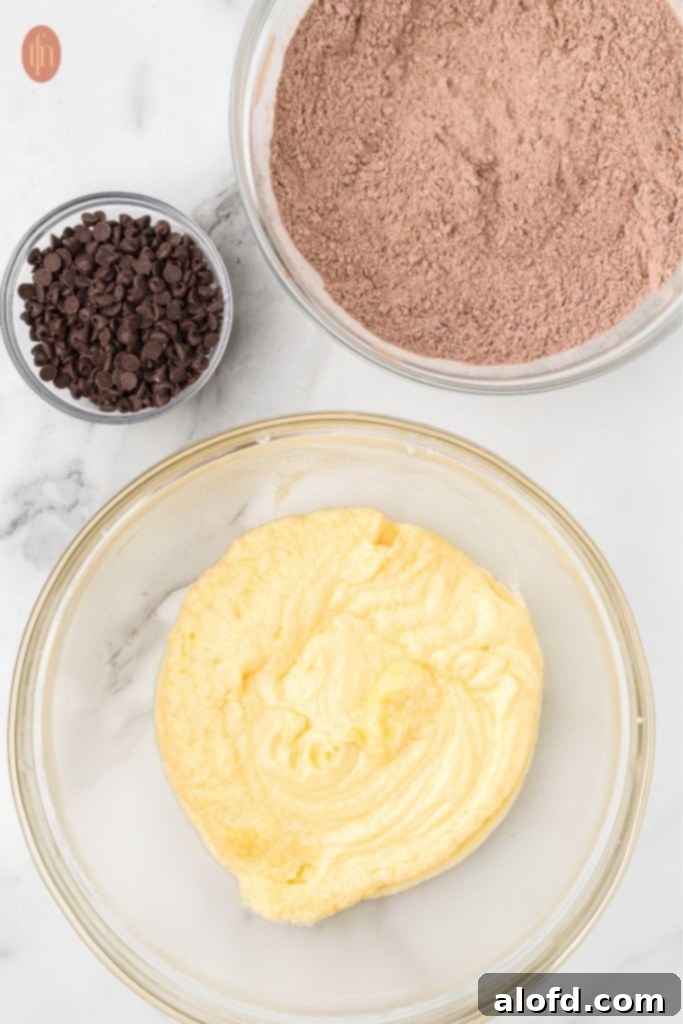 A visually appealing image showcasing a bowl of dough mixture, accompanied by a bowl of cocoa powder and mini chocolate chips, highlighting the key ingredients used in the recipe.