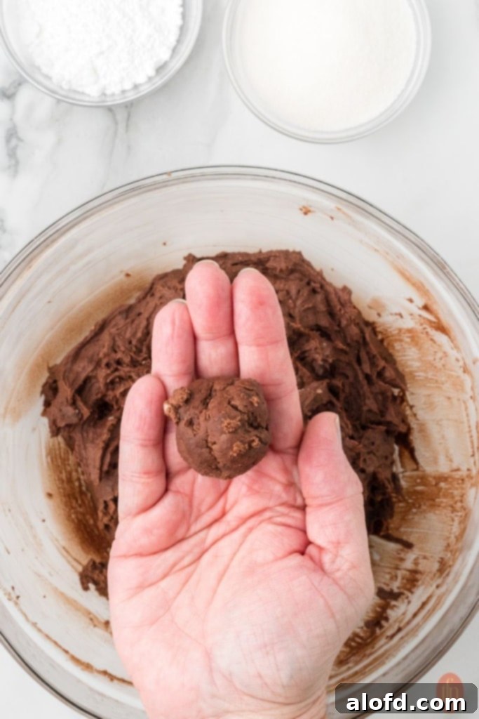 A hand holding a row of rolled dough balls, with a bowl of dough mixture visible in the background, illustrating the process of preparing the cookies for baking.